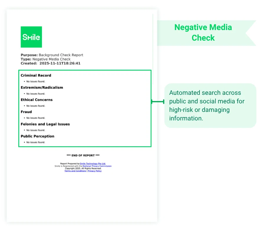 Negative Media Check sample report